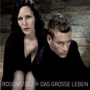 Rosenstolz: Das große Leben (Limited Edition: CD + DVD + Bonustracks), 1 CD und 1 DVD