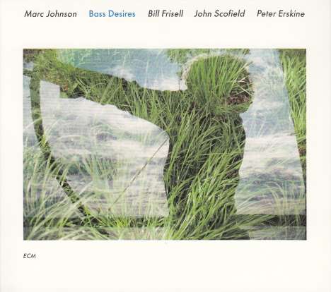 Marc Johnson (geb. 1953): Bass Desires, CD
