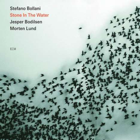 Stefano Bollani (geb. 1972): Stone In The Water, CD