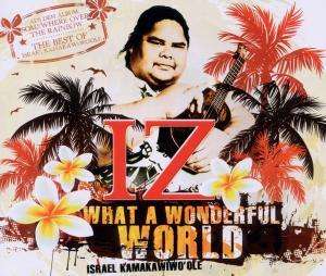 Israel Kamakawiwo'ole: What A Wonderful World (2-Track), Maxi-CD