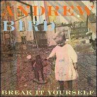 Andrew Bird: Break It Yourself (Limited Edition), 1 CD und 1 DVD