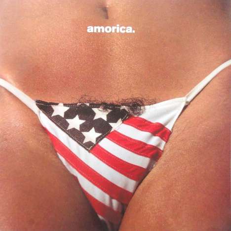The Black Crowes: Amorica (180g), 2 LPs