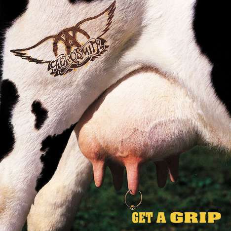 Aerosmith: Get A Grip (180g), 2 LPs