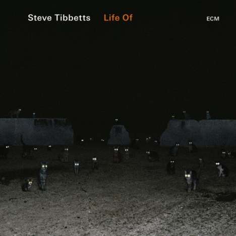 Steve Tibbetts (geb. 1954): Life Of, CD