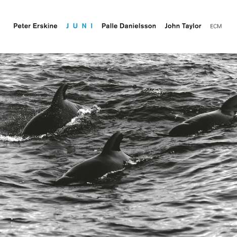 Peter Erskine (geb. 1954): Juni (Touchstones), CD