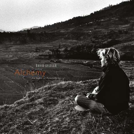David Sylvian: Alchemy: An Index Of Possibilities (remastered) (180g), LP