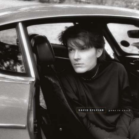 David Sylvian: Gone To Earth (remastered) (180g), 2 LPs