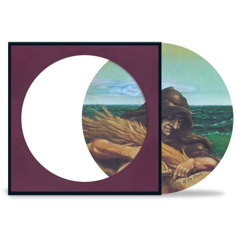Grateful Dead: Wake Of The Flood (50th Anniversary) (remastered) (Limited Edition) (Picture Disc), LP