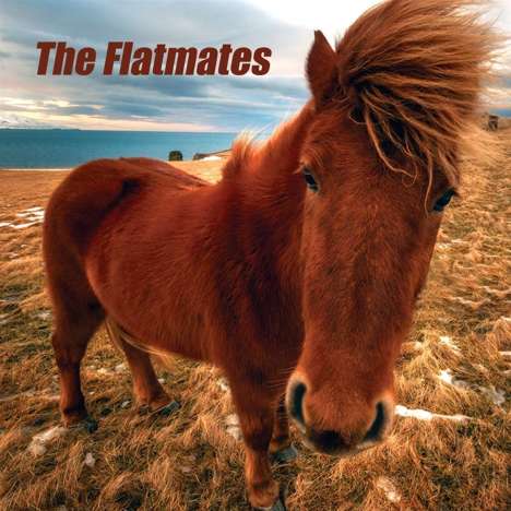 The Flatmates: The Flatmates, LP