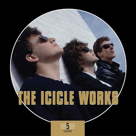 The Icicle Works: 5 Albums Box Set, 5 CDs