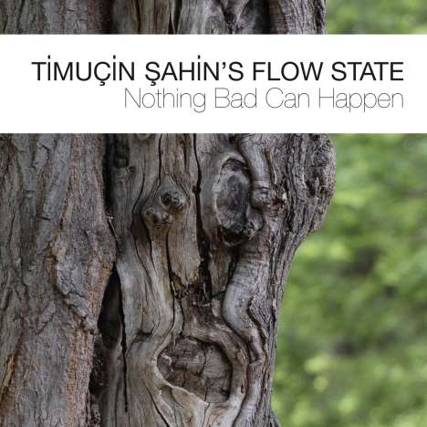 Timucin Sahin (geb. 1973): Nothing Bad Can Happen, CD