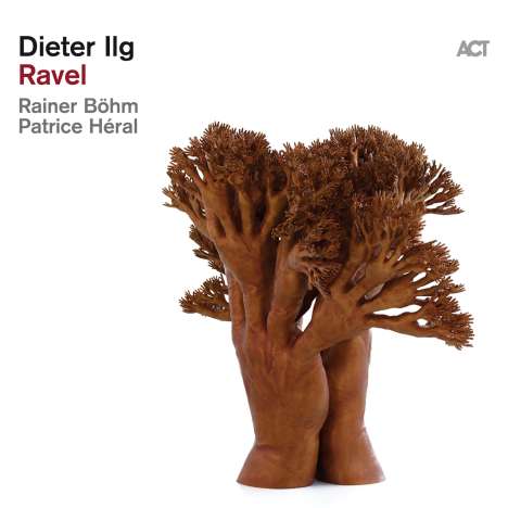 Dieter Ilg (geb. 1961): Ravel (180g), 2 LPs