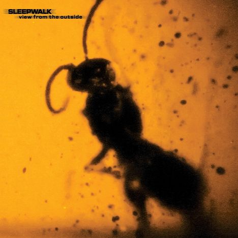 Oben links steht „SLEEPWALK view from the outside“. Silhouette eines Insekts vor einem orangefarbenen Hintergrund.