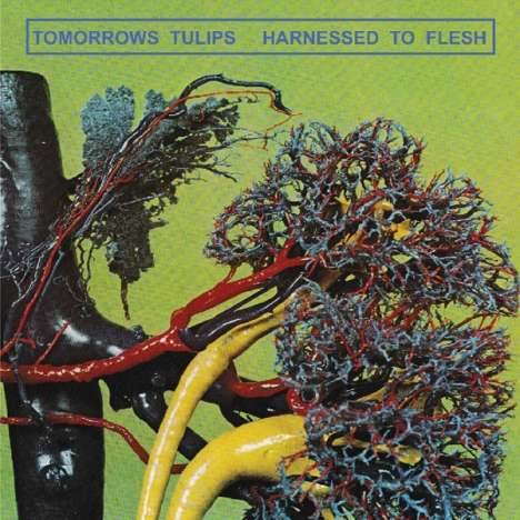 Tomorrows Tulips: Harnessed To Flesh, LP