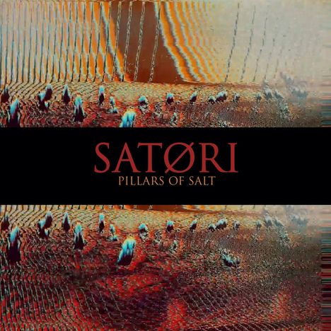 Satori: Pillars of Salt, CD
