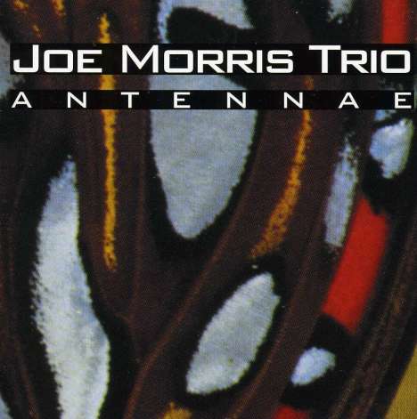 Joe Morris (Guitar, Bass) (geb. 1955): Antennae, CD