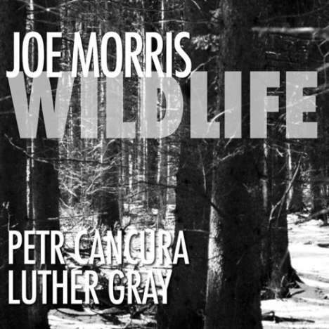 Joe Morris: Wildlife, CD