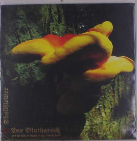Der Blutharsch &amp; Skullflower: Angel Of Darkness, LP