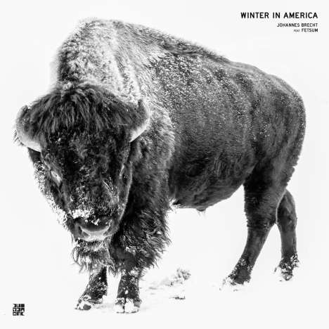 Johannes Brecht (geb. 1983): Winter In America (White Vinyl), Single 12"