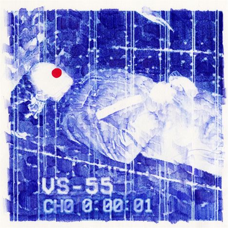 Der Text "VS-55 CH0 0:00:01". Blaue Illustration eines verpixelten Überwachungsmonitors, rote Markierung am Kopf.