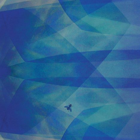 Cyro Baptista (geb. 1950): Bluefly, CD