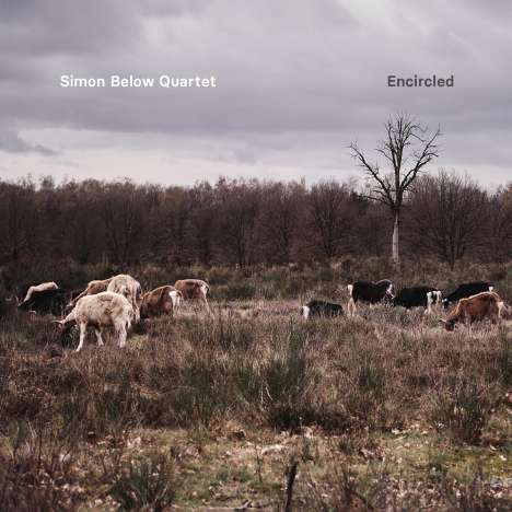 Simon Below: Encircled, CD