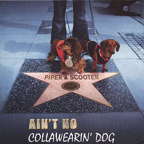Piper &amp; Scooter: Ain't No Collawearin' Dog, CD