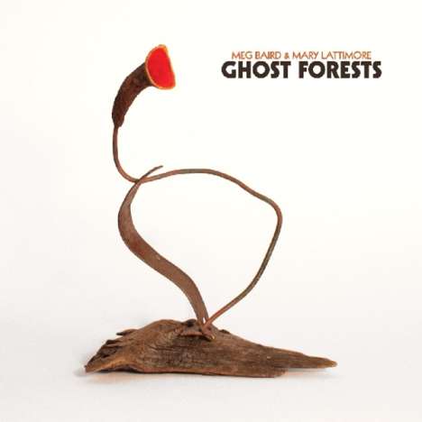 Meg Baird &amp; Mary Lattimore: Ghost Forests, LP