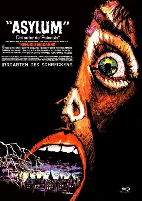 Asylum (Blu-ray &amp; DVD im Mediabook), 1 Blu-ray Disc und 1 DVD