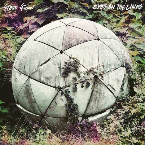 Steve Gunn: Eyes On The Lines, LP