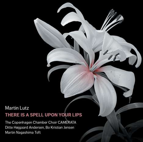 Martin Lutz (geb. 1974): Stabat Mater, CD