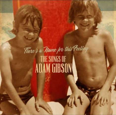 Adam Gibson: There’s A Name For This Feeling: The Songs Of Adam Gibson, 2 LPs