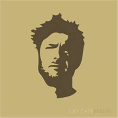 Joey Cape: Bridge, LP