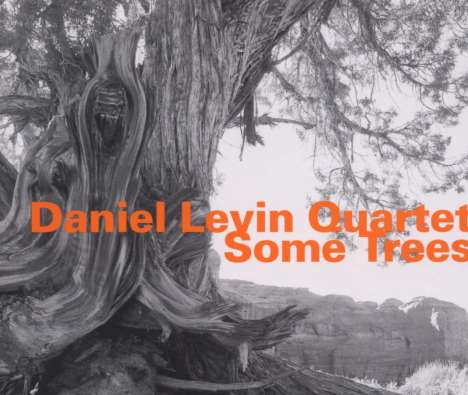 Daniel Levin (geb. 1974): Some Trees, CD