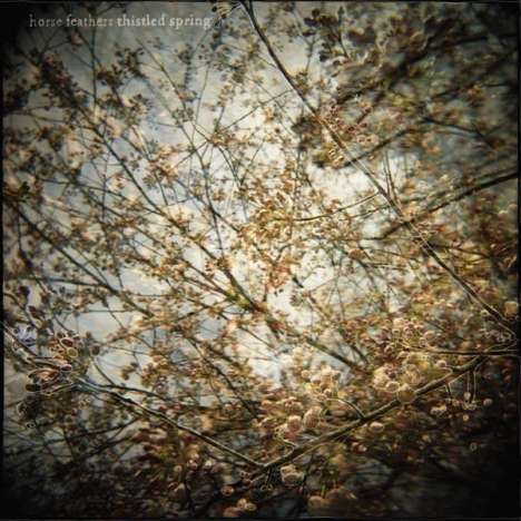 Horse Feathers: Thistled Spring, CD