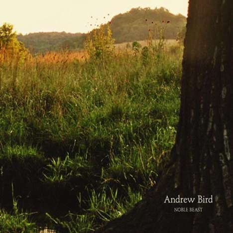 Andrew Bird: Noble Beast, 2 LPs