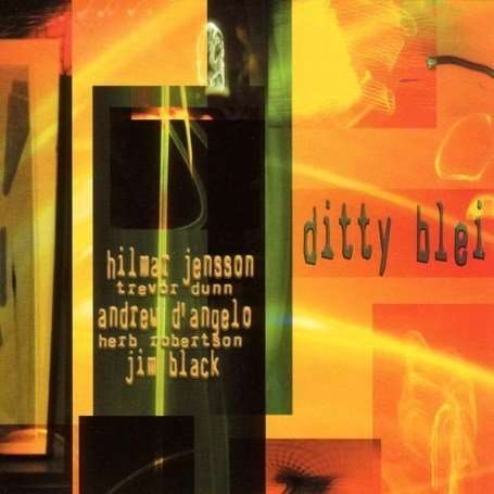 Hilmar Jensson: Ditty Blei, Super Audio CD