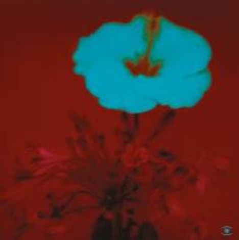 Keine Texte erkennbar. Illustration einer blauen Blume vor einem roten Hintergrund.
