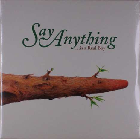 Say Anything: ...Is A Real Boy, 2 LPs