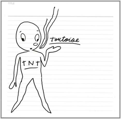 Tortoise: TNT, CD