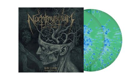 "Nachtmystium. Live Decay. Roadburn Rites 2012." Illustration eines Kopfes mit Ästen, daneben grün-blaue Schallplatten.