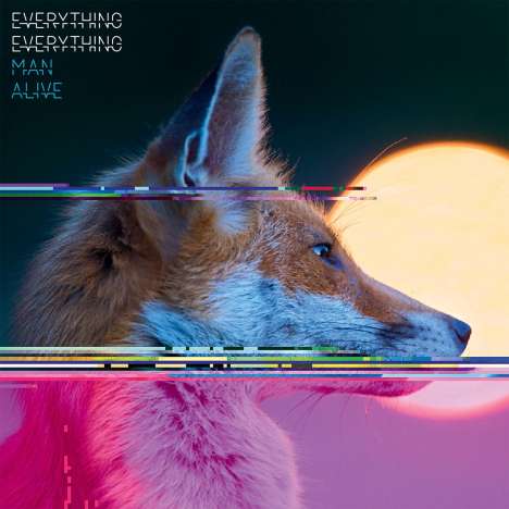 Everything Everything: Man Alive, LP