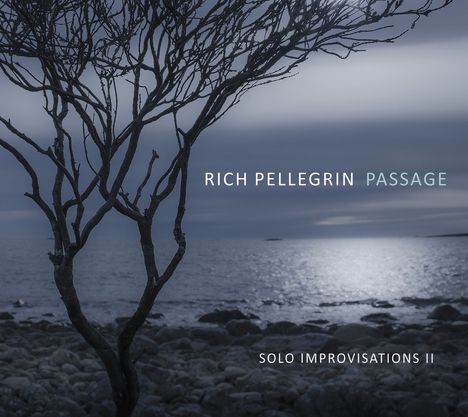 Rich Pellegrin: Passage: Solo Improvisations Ii, CD