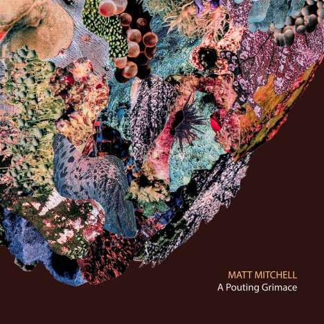 Matt Mitchell: Pouting Grimace, CD