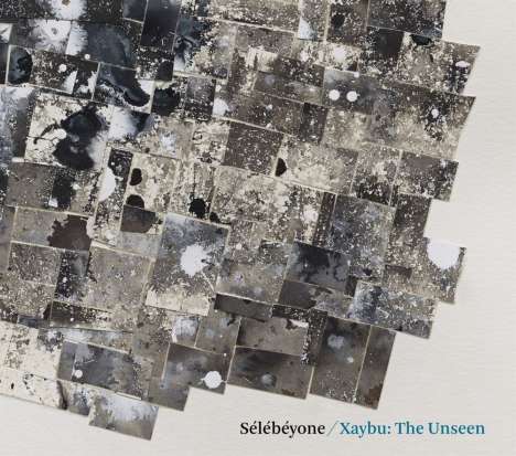Steve Lehman &amp; Sélébéyone: Xaybu: The Unseen, CD