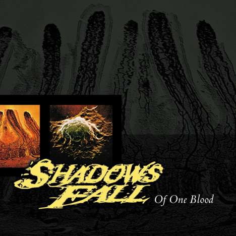 Shadows Fall: Of One Blood (Reissue) (Limited Edition) (Blood Red Vinyl), LP