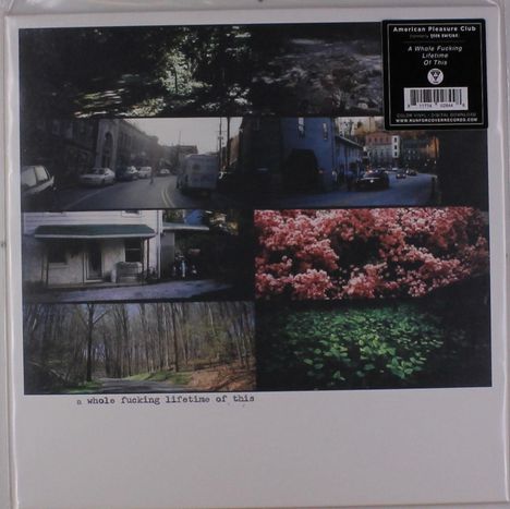 American Pleasure Club: A Whole Fucking Lifetime Of This (Colored Vinyl), LP