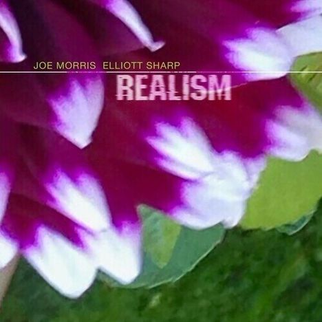 Text: "JOE MORRIS ELLIOTT SHARP REALISM". Unscharfe Nahaufnahme einer Blume in Rot- und Weißtönen mit grünen Blättern.