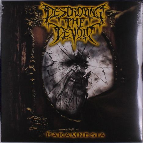 Destroying The Devoid: Paramnesia, LP
