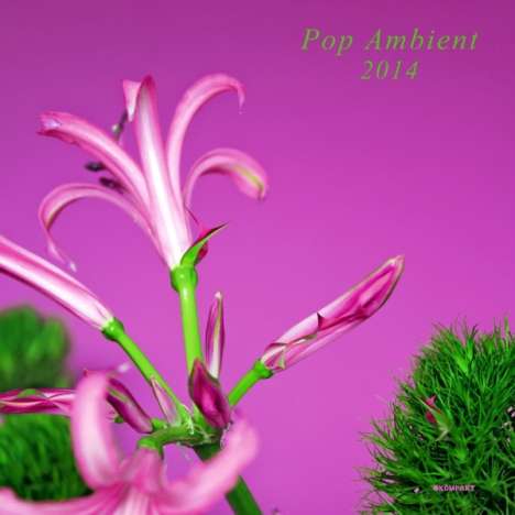 Pop Ambient 2014 (LP + CD), 1 LP und 1 CD